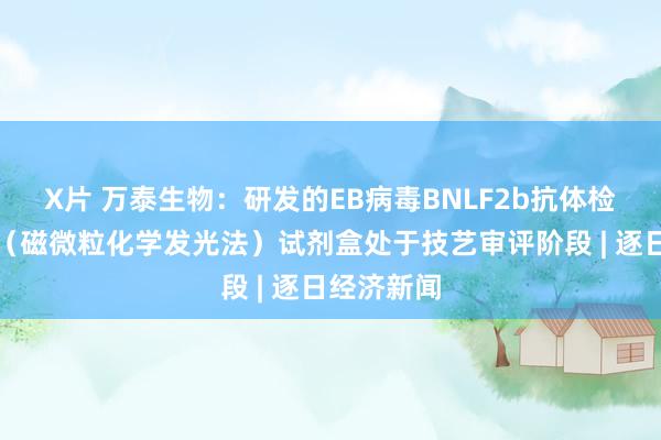 X片 万泰生物：研发的EB病毒BNLF2b抗体检测试剂盒（磁微粒化学发光法）试剂盒处于技艺审评阶段 | 逐日经济新闻