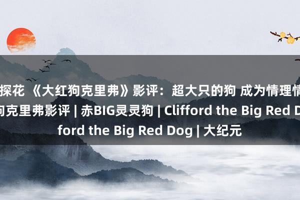 国产 探花 《大红狗克里弗》影评：超大只的狗 成为情理情感性保证 | 大红狗克里弗影评 | 赤BIG灵灵狗 | Clifford the Big Red Dog | 大纪元