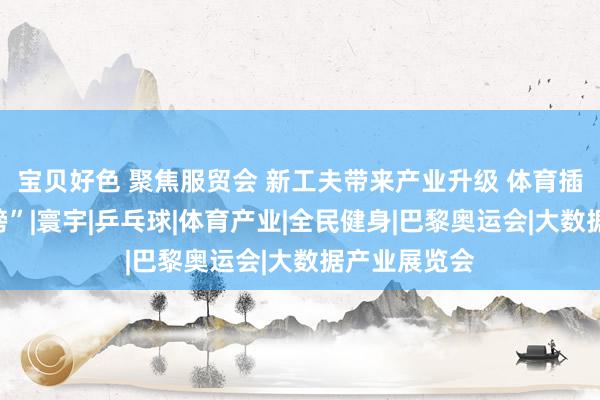 宝贝好色 聚焦服贸会 新工夫带来产业升级 体育插上数字“翅膀”|寰宇|乒乓球|体育产业|全民健身|巴黎奥运会|大数据产业展览会