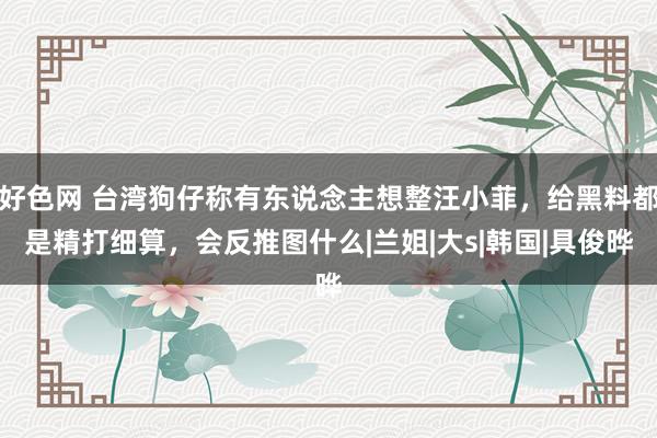 好色网 台湾狗仔称有东说念主想整汪小菲，给黑料都是精打细算，会反推图什么|兰姐|大s|韩国|具俊晔