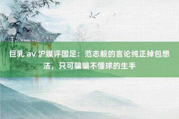 巨乳 av 沪媒评国足：范志毅的言论纯正掉包想法，只可骗骗不懂球的生手
