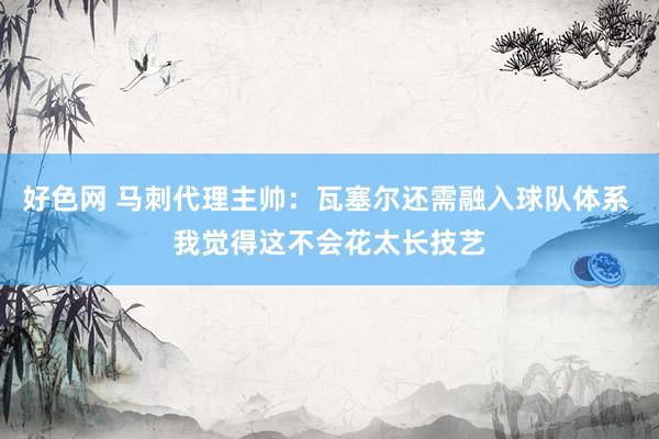 好色网 马刺代理主帅：瓦塞尔还需融入球队体系 我觉得这不会花太长技艺